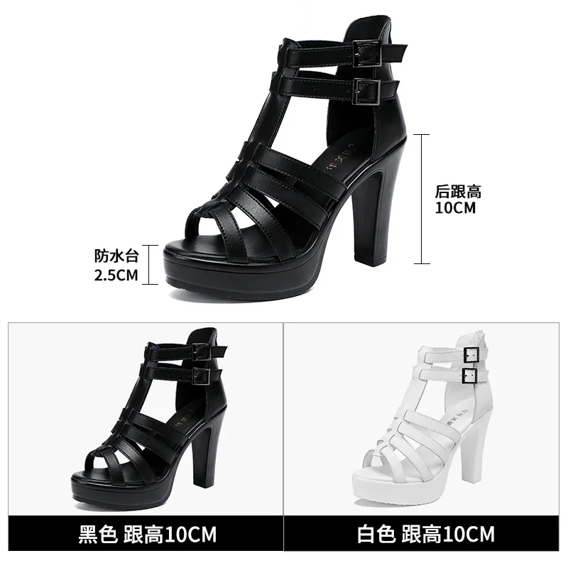 Gladiator Ladies Shoe for Wome - Peep Toe Heels recension och pris